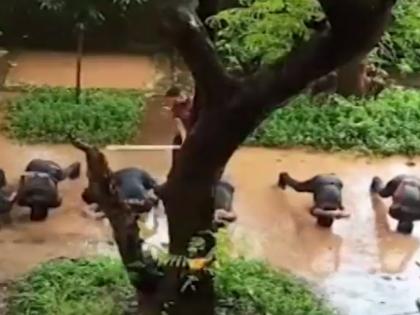 NCC student punished 'brutally' in Thane college; NCP demands action | NCC student punished 'brutally' in Thane college; NCP demands action NCC student punished 'brutally' in Thane college; NCP demands action | NCC student punished 'brutally' in Thane college; NCP demands action