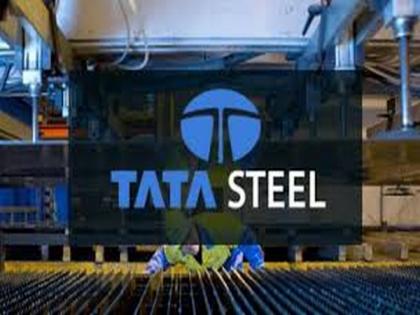 Tata Steel appoints Noel Naval Tata as vice-chairman | Tata Steel appoints Noel Naval Tata as vice-chairman