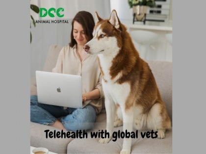 DCC Animal Hospital, extends telehealth services across India to support pet healthcare as a priority no matter where you are | DCC Animal Hospital, extends telehealth services across India to support pet healthcare as a priority no matter where you are