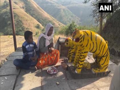 Tribal communities worship tiger in Maharashtra's Nashik | Tribal communities worship tiger in Maharashtra's Nashik
