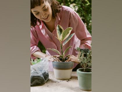 Do you know better mental can be achieved by gardening? | Do you know better mental can be achieved by gardening?