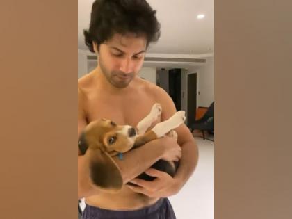 Varun Dhawan's hilarious trick to tease his pet Joey | Varun Dhawan's hilarious trick to tease his pet Joey