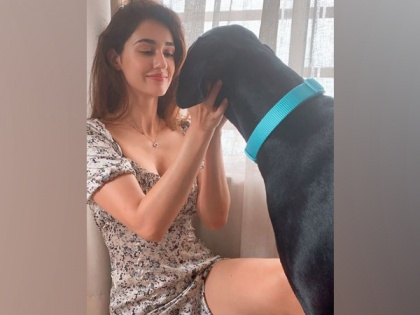 Disha Patani channels dog love in adorable Instagram post | Disha Patani channels dog love in adorable Instagram post