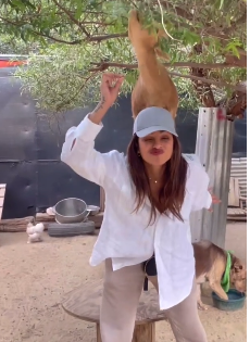 Priyanka seen enjoying ‘farm life’ with daughter Malti ahead of cousin Parineeti’s wedding | Priyanka seen enjoying ‘farm life’ with daughter Malti ahead of cousin Parineeti’s wedding Priyanka seen enjoying ‘farm life’ with daughter Malti ahead of cousin Parineeti’s wedding | Priyanka seen enjoying ‘farm life’ with daughter Malti ahead of cousin Parineeti’s wedding