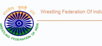 Punjab and Haryana High Court stays WFI elections | Punjab and Haryana High Court stays WFI elections Punjab and Haryana High Court stays WFI elections | Punjab and Haryana High Court stays WFI elections