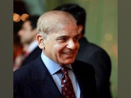 Pakistan PM Shehbaz Sharif blames PTI for energy crisis in country | Pakistan PM Shehbaz Sharif blames PTI for energy crisis in country