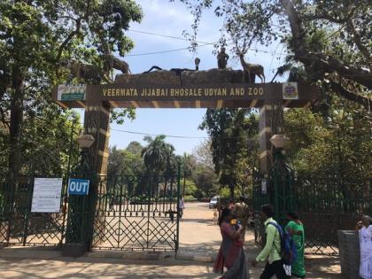 Coronavirus: BMC closes Mumbai Zoo | Coronavirus: BMC closes Mumbai Zoo Coronavirus: BMC closes Mumbai Zoo | Coronavirus: BMC closes Mumbai Zoo