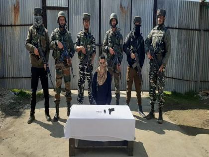 JeM terrorist apprehended in J-K's Sopore | JeM terrorist apprehended in J-K's Sopore JeM terrorist apprehended in J-K's Sopore | JeM terrorist apprehended in J-K's Sopore
