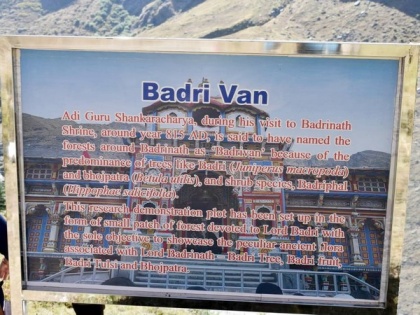 Forest Research Wing, Haldwani establishes Badri Van to showcase ancient flora associated with Lord Badrinath | Forest Research Wing, Haldwani establishes Badri Van to showcase ancient flora associated with Lord Badrinath