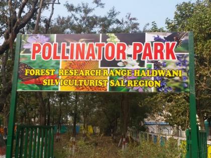India's first pollinator park inaugurated in Haldwani | India's first pollinator park inaugurated in Haldwani India's first pollinator park inaugurated in Haldwani | India's first pollinator park inaugurated in Haldwani