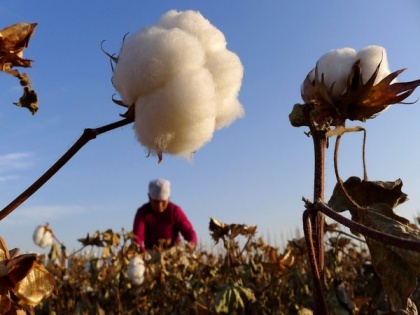 Boycotting Xinjiang cotton has become a human rights issue: Taiwanese legislative speaker | Boycotting Xinjiang cotton has become a human rights issue: Taiwanese legislative speaker
