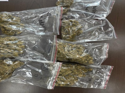NCB arrests 2 persons, seizes cash, 310 g of hydroponic marijuana | NCB arrests 2 persons, seizes cash, 310 g of hydroponic marijuana
