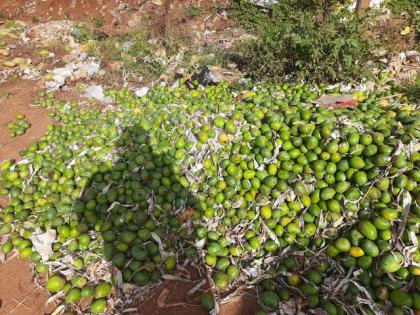 Karnataka: Farmers dump tonnes of mangoes on roadside as prices fall | Karnataka: Farmers dump tonnes of mangoes on roadside as prices fall Karnataka: Farmers dump tonnes of mangoes on roadside as prices fall | Karnataka: Farmers dump tonnes of mangoes on roadside as prices fall