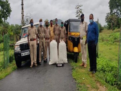 Odisha: Over 66 kg ganja seized from auto-rickshaw in Gajapati district | Odisha: Over 66 kg ganja seized from auto-rickshaw in Gajapati district