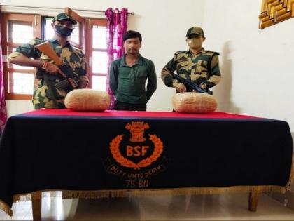 West Bengal: BSF nabs drug trafficker, seizes 25 kg cannabis, 55 bottles of Phensydyl | West Bengal: BSF nabs drug trafficker, seizes 25 kg cannabis, 55 bottles of Phensydyl