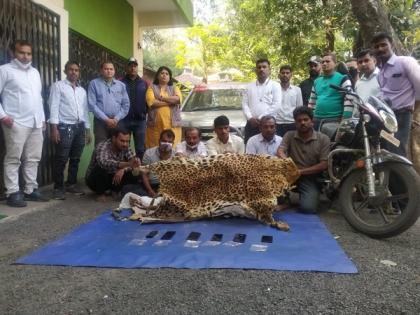 6 arrested in leopard poaching case in Indore | 6 arrested in leopard poaching case in Indore 6 arrested in leopard poaching case in Indore | 6 arrested in leopard poaching case in Indore