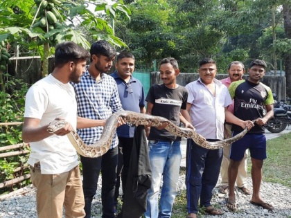 West Bengal: 10ft-long Burmese python rescued by forest officials in Siliguri | West Bengal: 10ft-long Burmese python rescued by forest officials in Siliguri