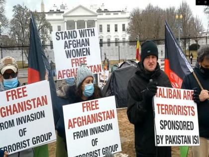 Afghan activists in US protest against 'Pakistan-sponsored Taliban' | Afghan activists in US protest against 'Pakistan-sponsored Taliban'