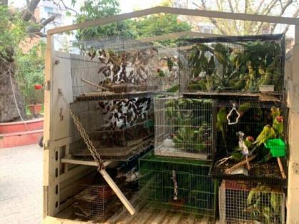 Delhi Police rescues 1,000 birds after raid | Delhi Police rescues 1,000 birds after raid Delhi Police rescues 1,000 birds after raid | Delhi Police rescues 1,000 birds after raid