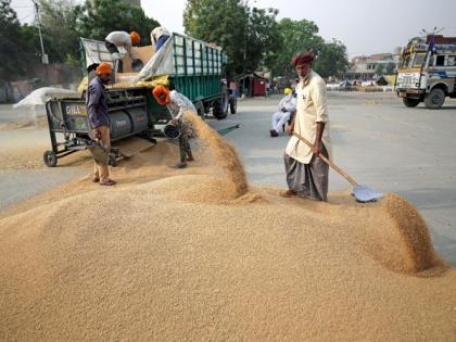 Pakistan refuses Russia's wheat offer to save USD 1.4 million amid food scarcity | Pakistan refuses Russia's wheat offer to save USD 1.4 million amid food scarcity