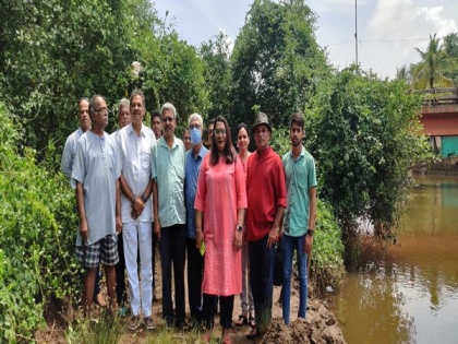 Goa TMC lauds Akhada village for protecting mangroves | Goa TMC lauds Akhada village for protecting mangroves