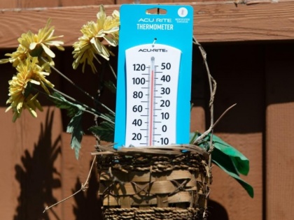 17 dead amid heat wave in southern US | 17 dead amid heat wave in southern US