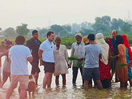 Rahul's interaction with farmers in Haryana village shows party's sensitivity: Cong | Rahul's interaction with farmers in Haryana village shows party's sensitivity: Cong