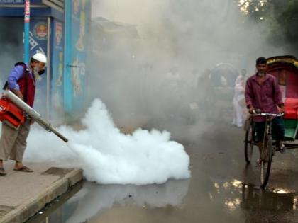 Bangladesh's dengue death toll spikes to 185 | Bangladesh's dengue death toll spikes to 185 Bangladesh's dengue death toll spikes to 185 | Bangladesh's dengue death toll spikes to 185