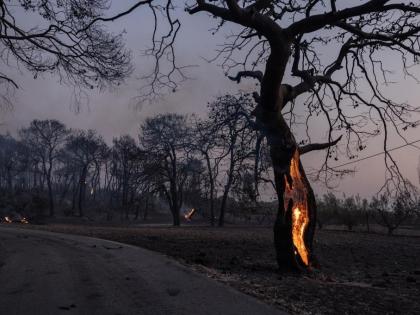Wildfires continue to rage near Athens | Wildfires continue to rage near Athens Wildfires continue to rage near Athens | Wildfires continue to rage near Athens