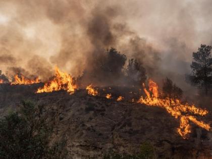 Helicopter pilot killed while battling wildfires in Canada | Helicopter pilot killed while battling wildfires in Canada