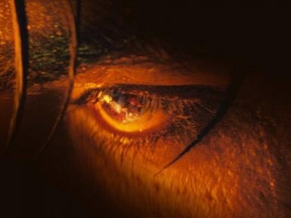 SRK-starrer ‘Jawan’ makers give sneak-peek to Vijay Sethupathi’s ‘furious eyes’ in mystery poster | SRK-starrer ‘Jawan’ makers give sneak-peek to Vijay Sethupathi’s ‘furious eyes’ in mystery poster SRK-starrer ‘Jawan’ makers give sneak-peek to Vijay Sethupathi’s ‘furious eyes’ in mystery poster | SRK-starrer ‘Jawan’ makers give sneak-peek to Vijay Sethupathi’s ‘furious eyes’ in mystery poster