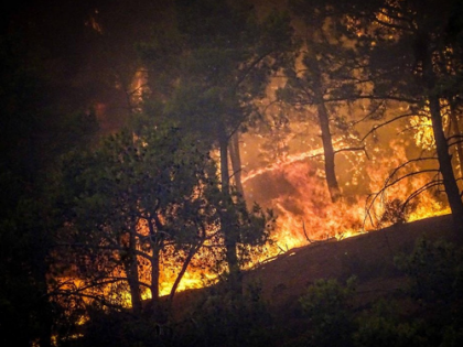 Europe wildfires double average as extreme risk expected into September | Europe wildfires double average as extreme risk expected into September Europe wildfires double average as extreme risk expected into September | Europe wildfires double average as extreme risk expected into September