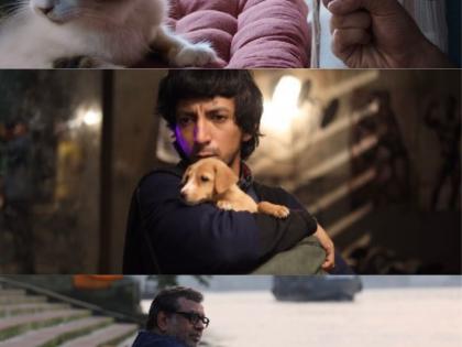 'Max, Min & Meowzaki', 'Lakadbaggha' get Stuttgart Indian film fest top awards | 'Max, Min & Meowzaki', 'Lakadbaggha' get Stuttgart Indian film fest top awards 'Max, Min & Meowzaki', 'Lakadbaggha' get Stuttgart Indian film fest top awards | 'Max, Min & Meowzaki', 'Lakadbaggha' get Stuttgart Indian film fest top awards