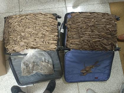 CISF arrests two people with 55 kg Agarwood at IGI airport | CISF arrests two people with 55 kg Agarwood at IGI airport