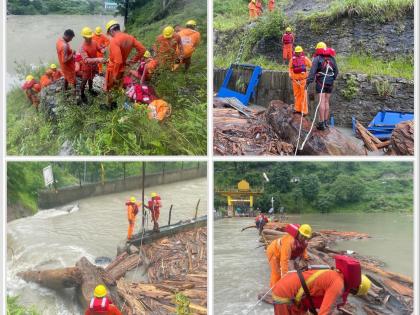 Large numbers of big logs, trees in Himachal's flooded rivers raise doubts, concern | Large numbers of big logs, trees in Himachal's flooded rivers raise doubts, concern