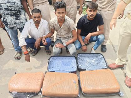 30 kg of cannabis seized in Assam, 3 arrested | 30 kg of cannabis seized in Assam, 3 arrested 30 kg of cannabis seized in Assam, 3 arrested | 30 kg of cannabis seized in Assam, 3 arrested