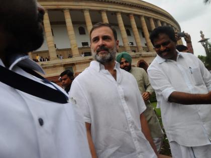 Voice of real issues to echo in Parliament again: Priyanka on Rahul's LS membership | Voice of real issues to echo in Parliament again: Priyanka on Rahul's LS membership Voice of real issues to echo in Parliament again: Priyanka on Rahul's LS membership | Voice of real issues to echo in Parliament again: Priyanka on Rahul's LS membership