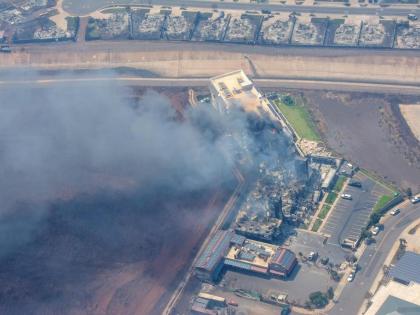 10 to 20 more wildfire victims could be found per day: Hawaii Guv | 10 to 20 more wildfire victims could be found per day: Hawaii Guv