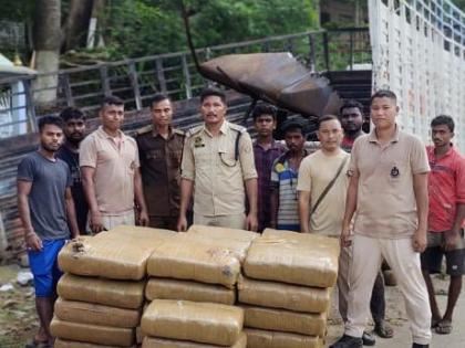 594 kg cannabis seized at Assam-Tripura border | 594 kg cannabis seized at Assam-Tripura border 594 kg cannabis seized at Assam-Tripura border | 594 kg cannabis seized at Assam-Tripura border