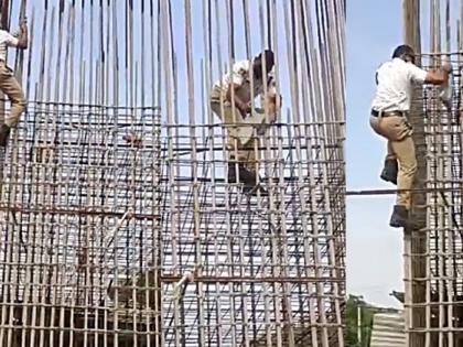 Hyderabad cop saves kitten stranded on under construction pillar | Hyderabad cop saves kitten stranded on under construction pillar Hyderabad cop saves kitten stranded on under construction pillar | Hyderabad cop saves kitten stranded on under construction pillar