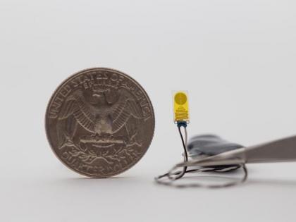 Novel device to monitor transplanted organs for early signs of rejection | Novel device to monitor transplanted organs for early signs of rejection Novel device to monitor transplanted organs for early signs of rejection | Novel device to monitor transplanted organs for early signs of rejection