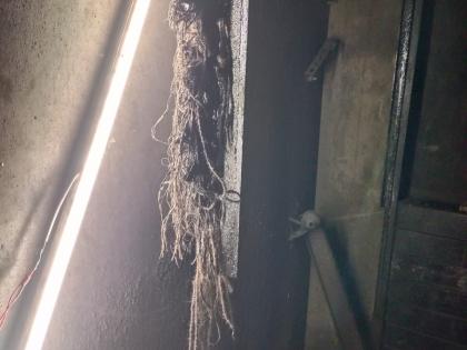 6 killed as service lift crashes in 40-storied Thane building | 6 killed as service lift crashes in 40-storied Thane building