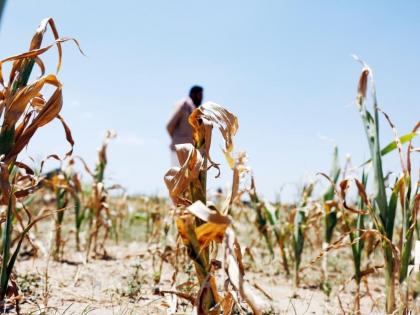 Global report shows climate change 'imperilled life on Earth' | Global report shows climate change 'imperilled life on Earth' Global report shows climate change 'imperilled life on Earth' | Global report shows climate change 'imperilled life on Earth'