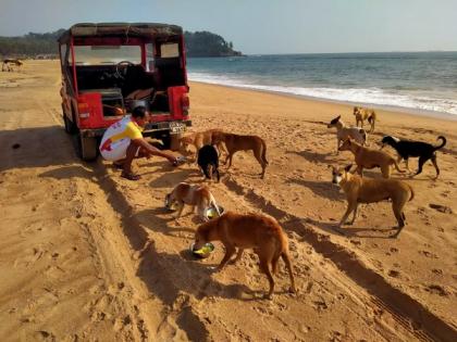 Goa's Drishti Marine lifeguards step in to feed stray animals amid lockdown | Goa's Drishti Marine lifeguards step in to feed stray animals amid lockdown