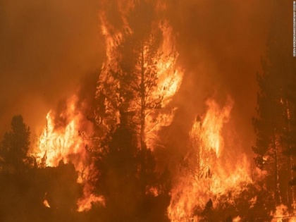 Over 1,600 firefighters battle new wildfire in northern California | Over 1,600 firefighters battle new wildfire in northern California