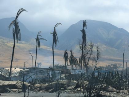 Hawaii energy firm rejects lawsuit over devastating wildfires | Hawaii energy firm rejects lawsuit over devastating wildfires Hawaii energy firm rejects lawsuit over devastating wildfires | Hawaii energy firm rejects lawsuit over devastating wildfires