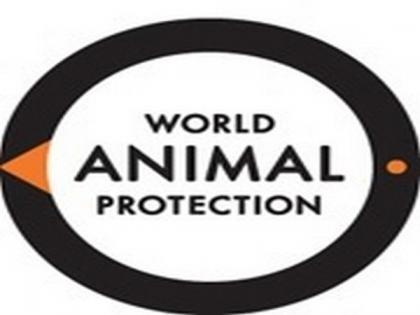 Retail chains in dairy stand in unison with World Animal Protection | Retail chains in dairy stand in unison with World Animal Protection
