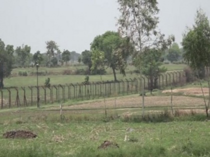 Govt prepares to cultivate land near zero line in J-K's Kathua after 18 years | Govt prepares to cultivate land near zero line in J-K's Kathua after 18 years