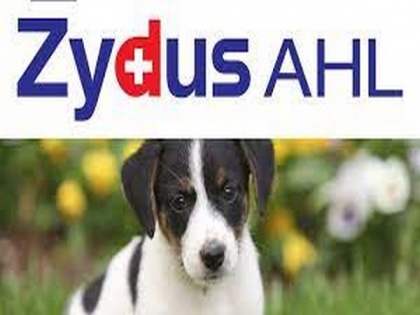 Zydus Cadila to sell one animal health business for Rs 2,921 crore | Zydus Cadila to sell one animal health business for Rs 2,921 crore