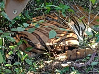 High-level teams visit DTR to probe tiger deaths | High-level teams visit DTR to probe tiger deaths
